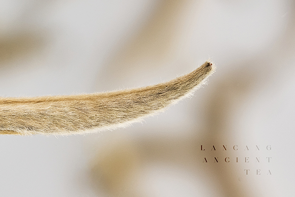 1754020848819_9483689756513544